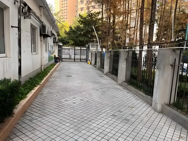 血舞狂龙